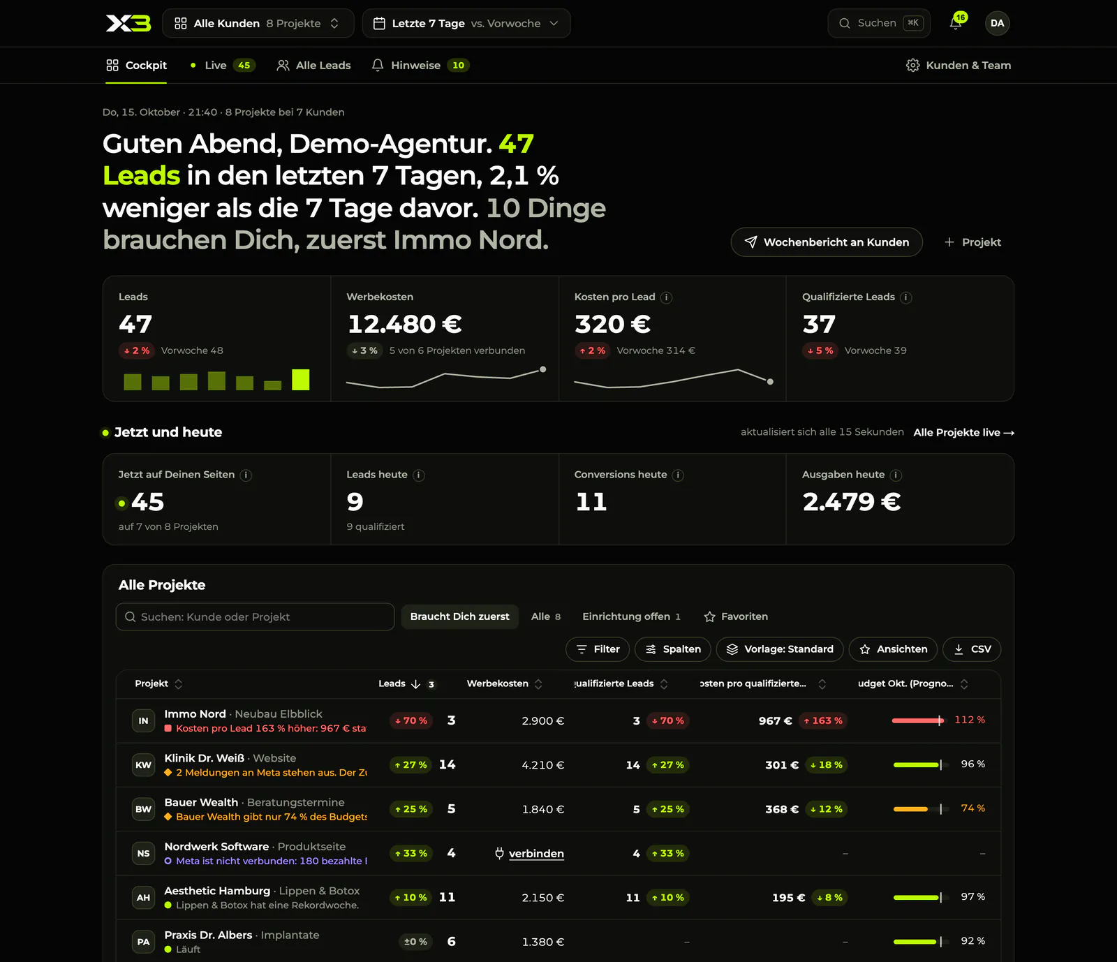 X3 Agentur-Cockpit mit Beispieldaten über 8 erfundene Projekte: 47 Leads, 12.480 € Werbekosten und eine Projekttabelle mit Budget-Prognose